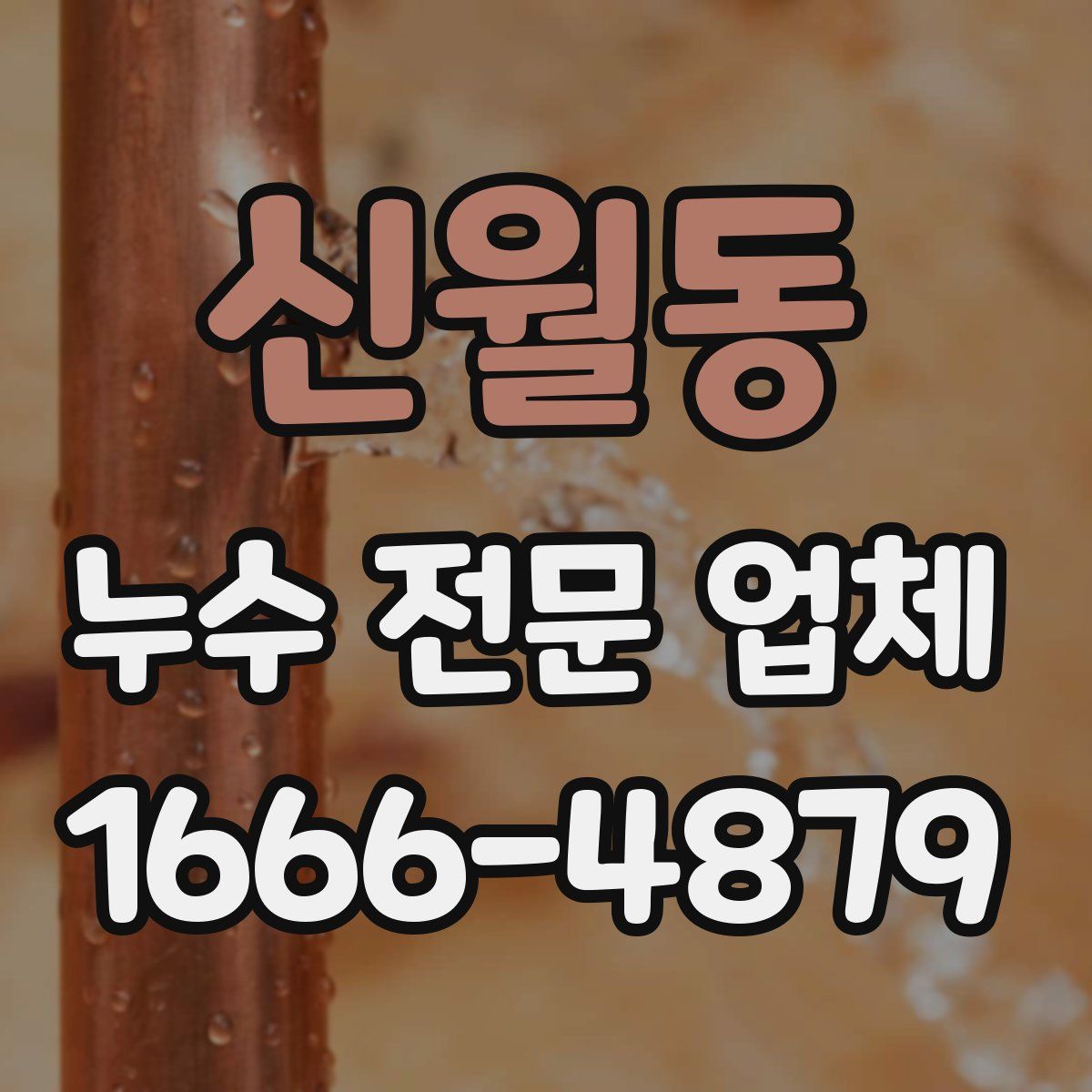 신월동 누수 전문 업체
