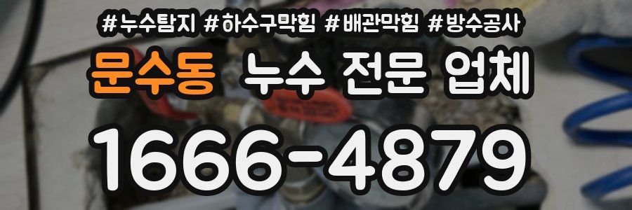 문수동 누수 전문 업체