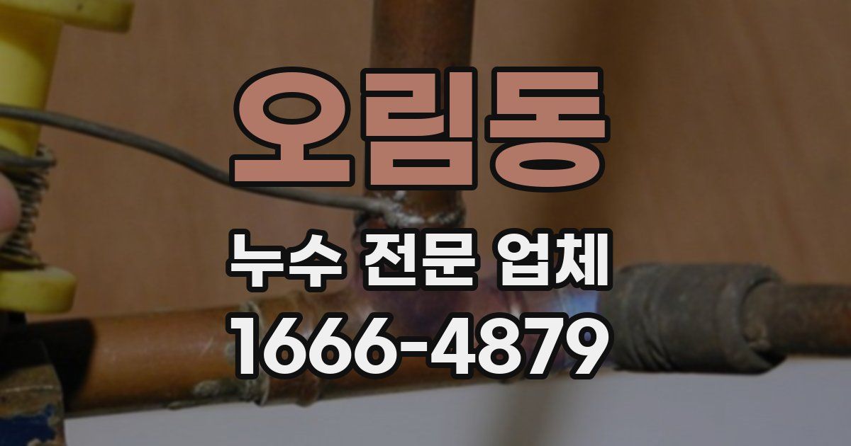 오림동 누수 전문 업체