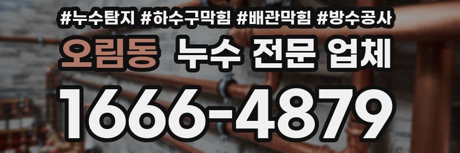 오림동 누수 전문 업체