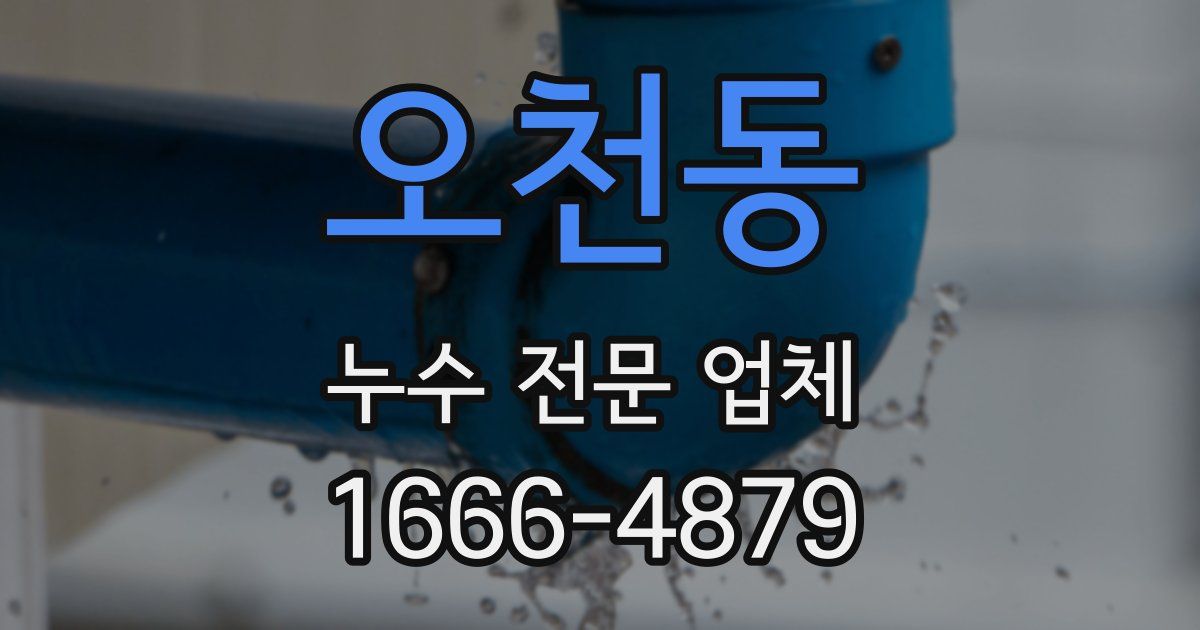 오천동 누수 전문 업체