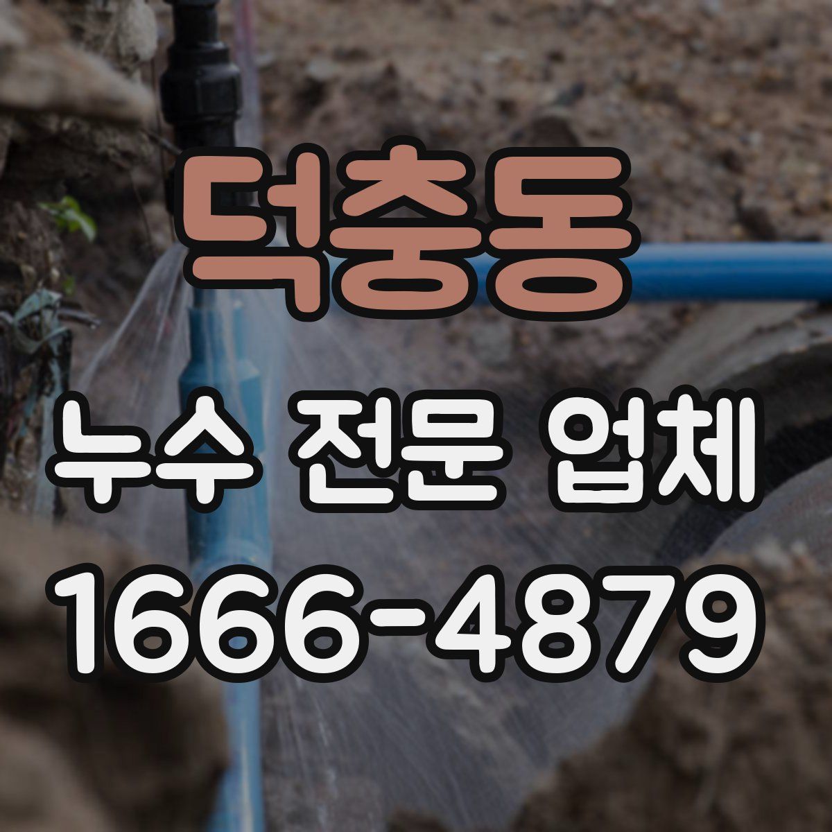 덕충동 누수 전문 업체