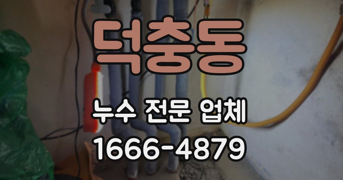덕충동 누수 전문 업체