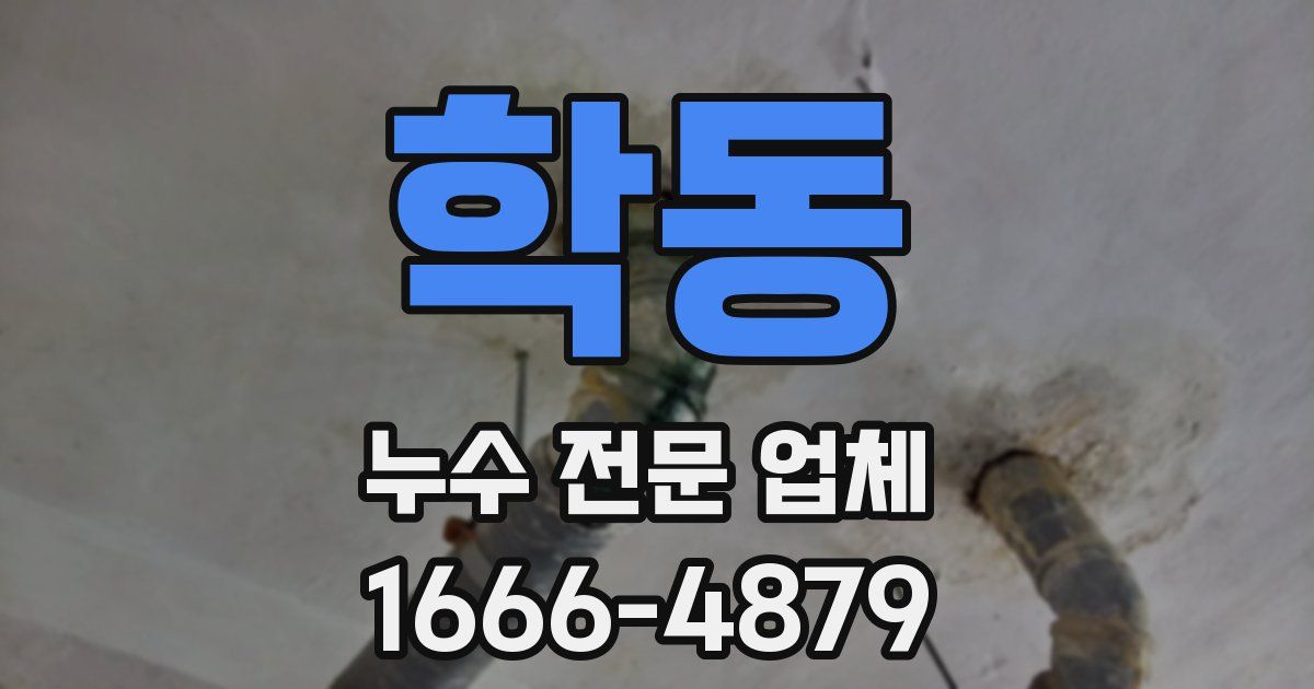 학동 누수 전문 업체