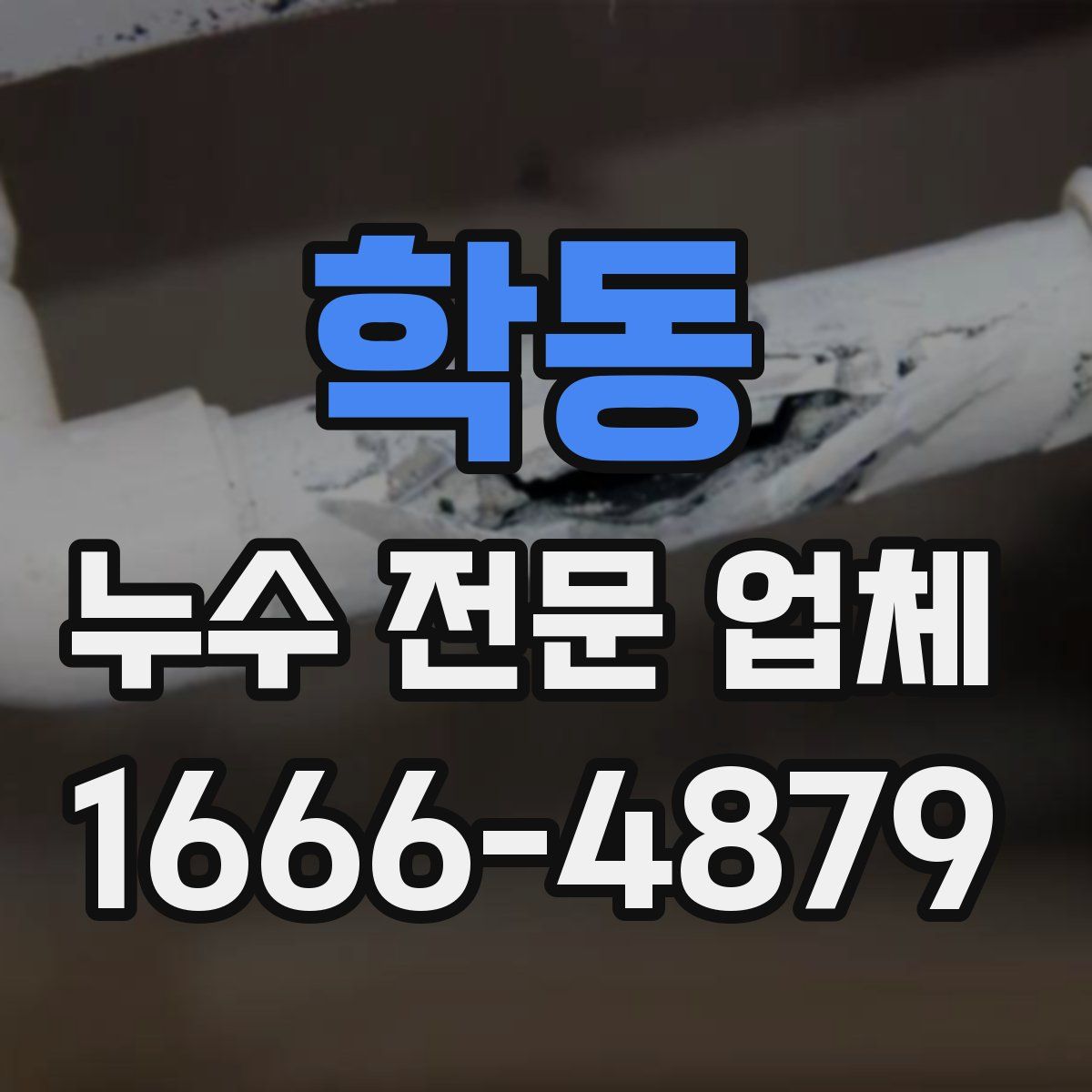 학동 누수 전문 업체