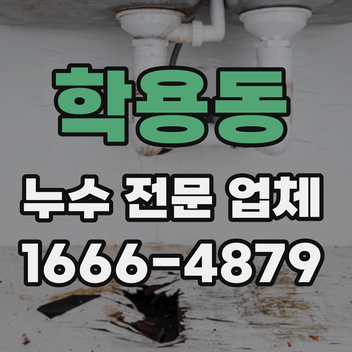 학용동 누수 전문 업체