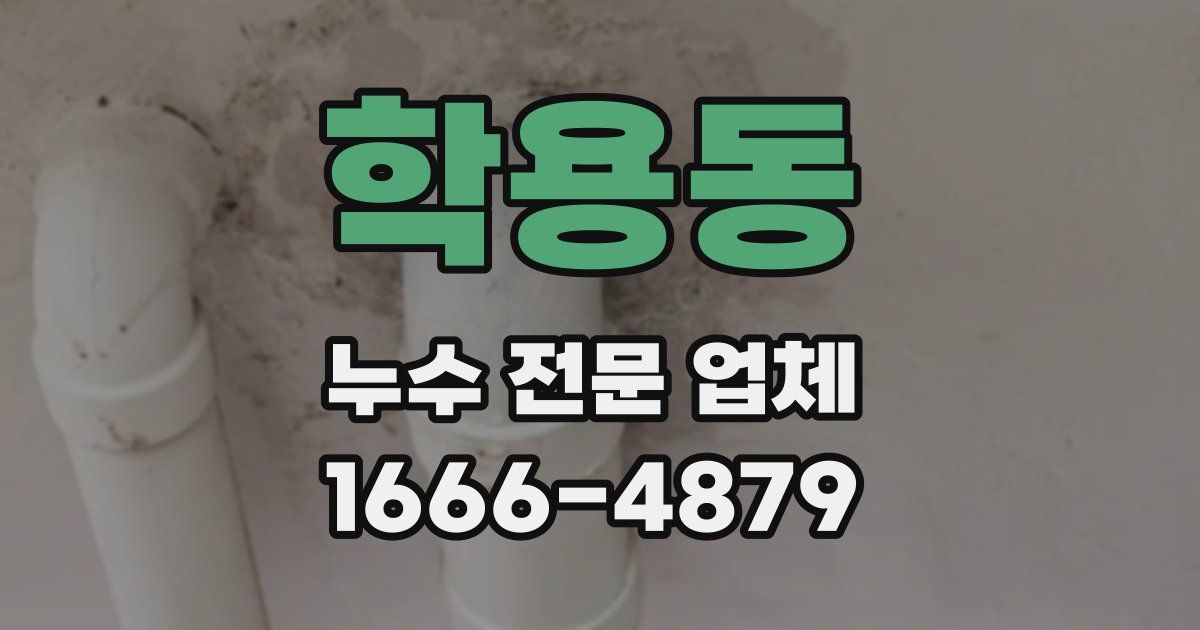 학용동 누수 전문 업체