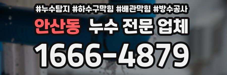 안산동 누수 전문 업체