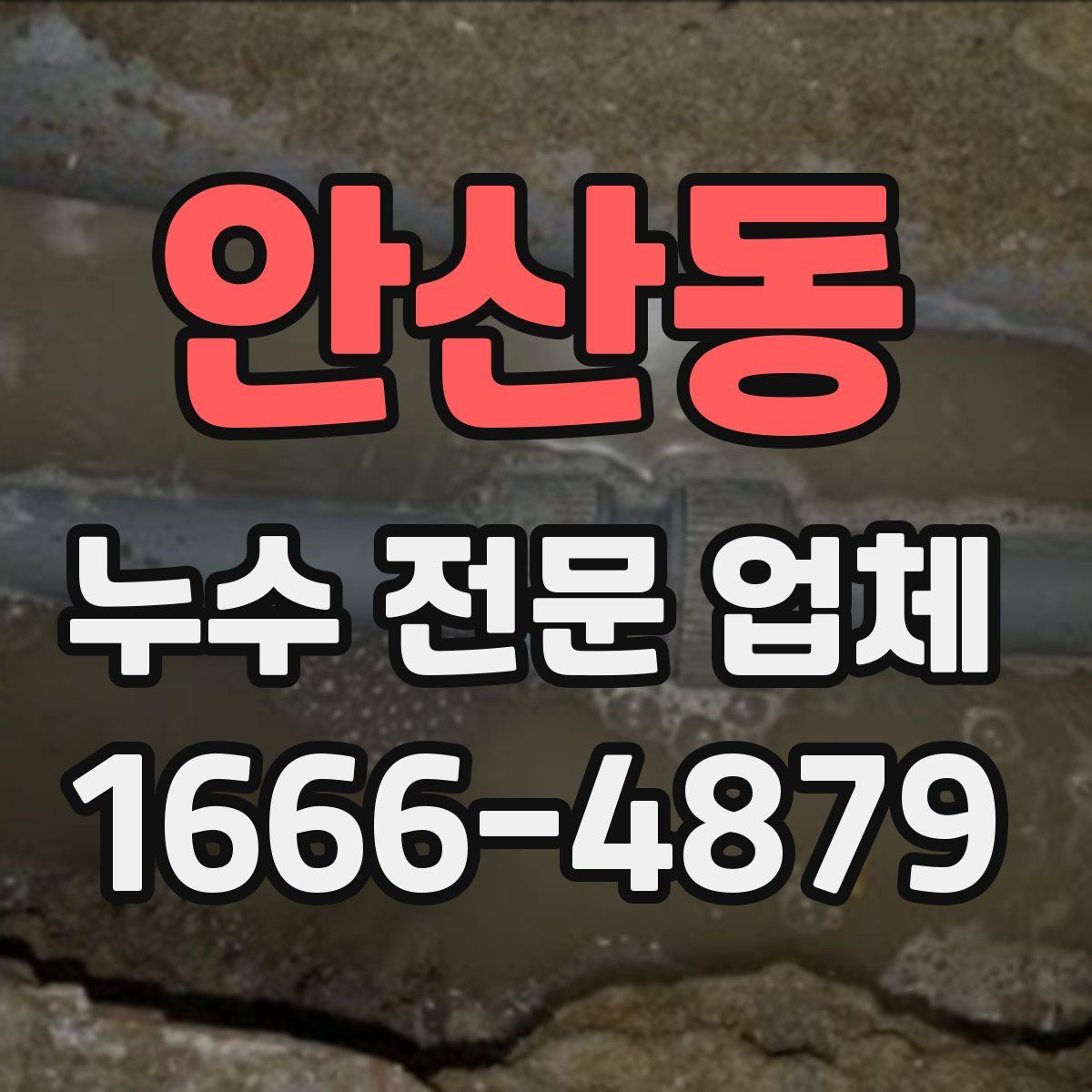 안산동 누수 전문 업체