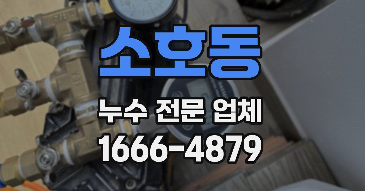 소호동 누수 전문 업체