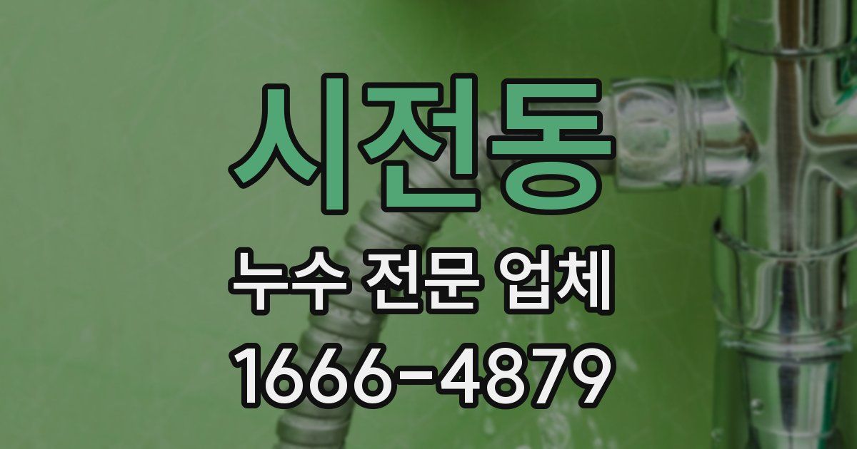 시전동 누수 전문 업체