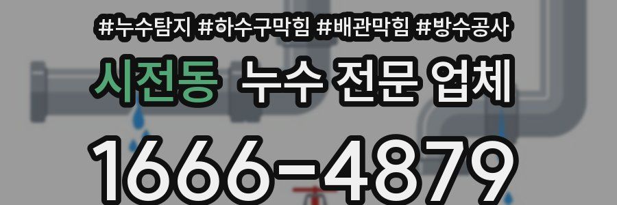 시전동 누수 전문 업체