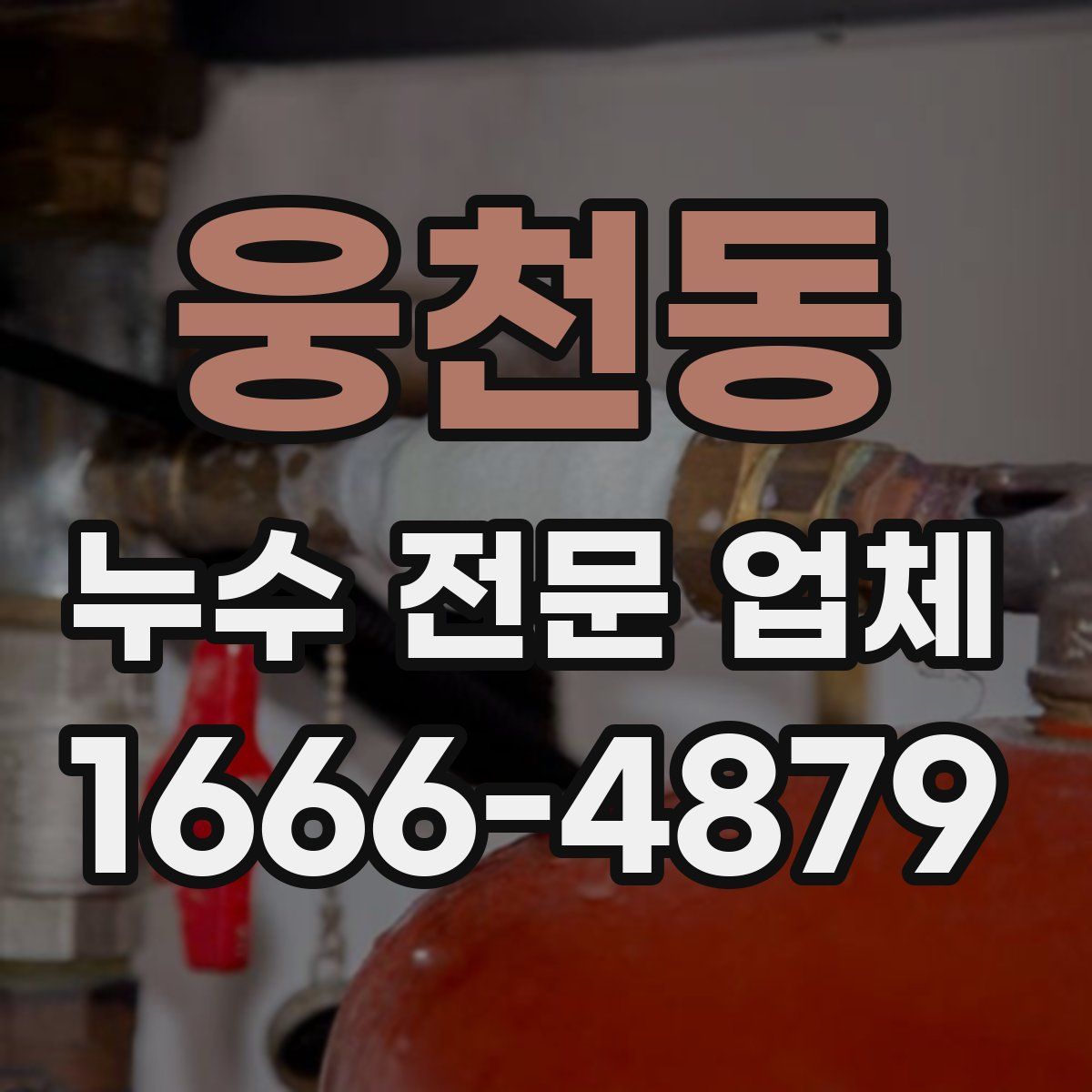 웅천동 누수 전문 업체