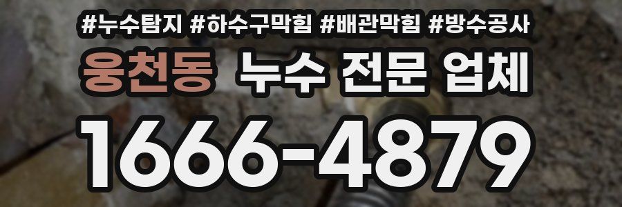 웅천동 누수 전문 업체