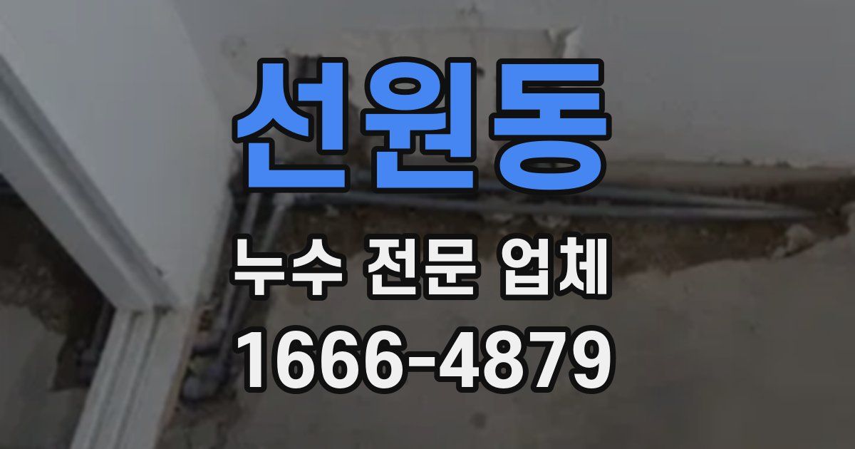 선원동 누수 전문 업체
