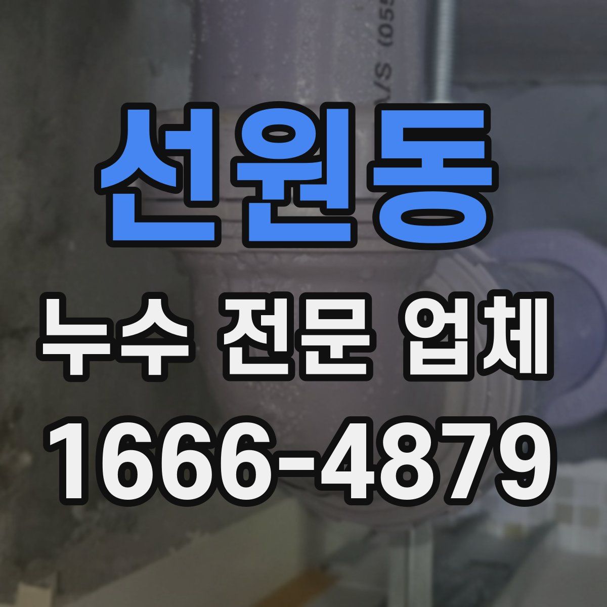 선원동 누수 전문 업체