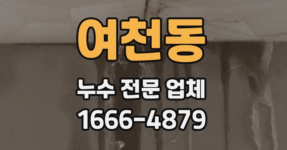 여천동 누수 전문 업체