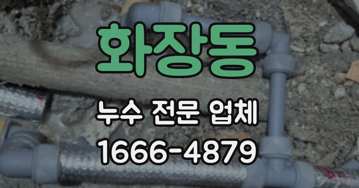 화장동 누수 전문 업체