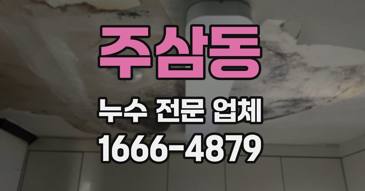 주삼동 누수 전문 업체