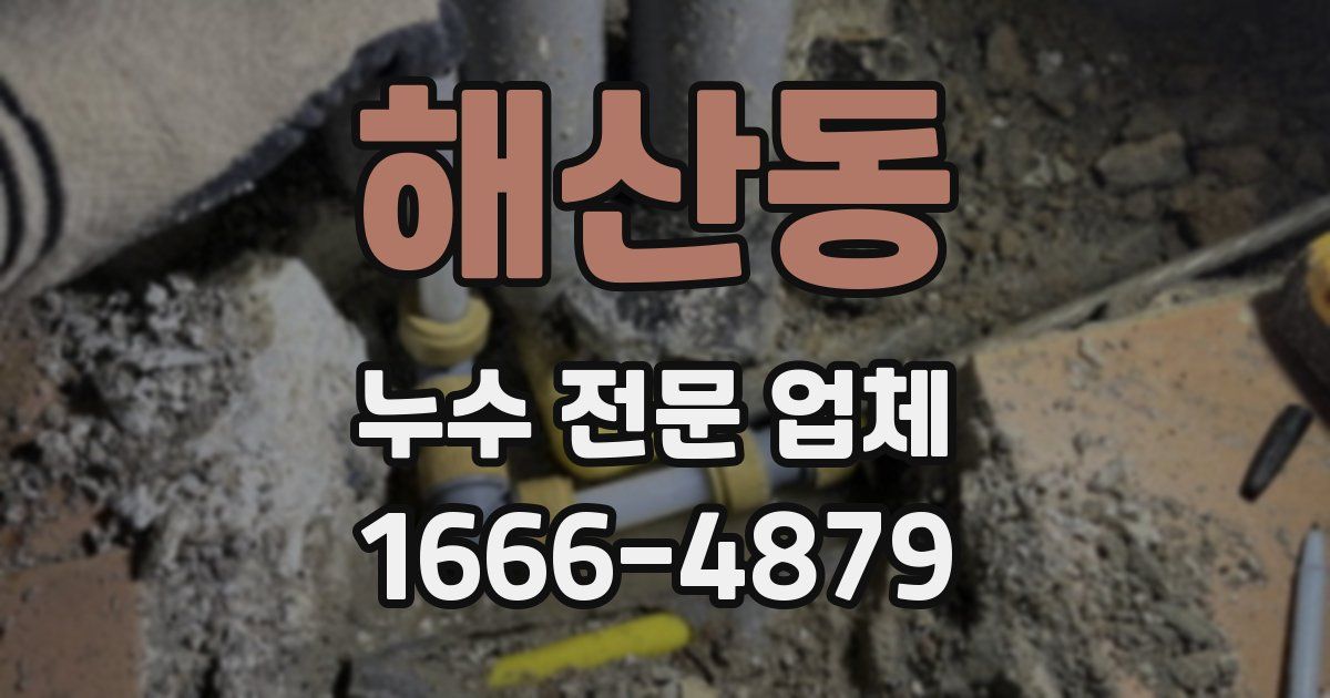 해산동 누수 전문 업체