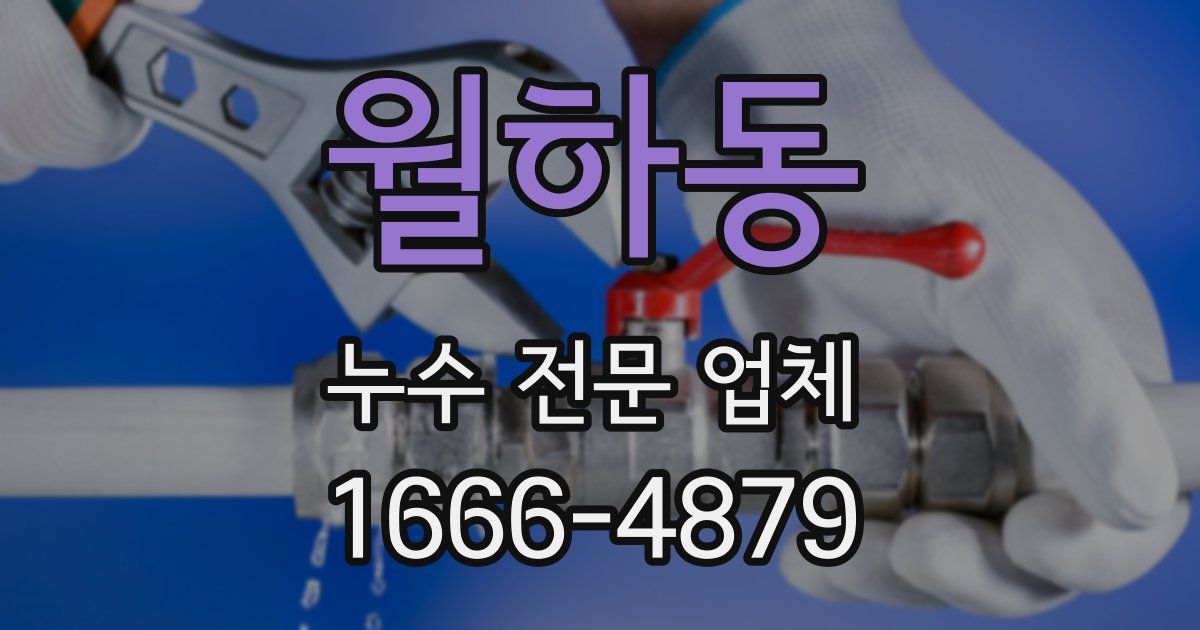 월하동 누수 전문 업체