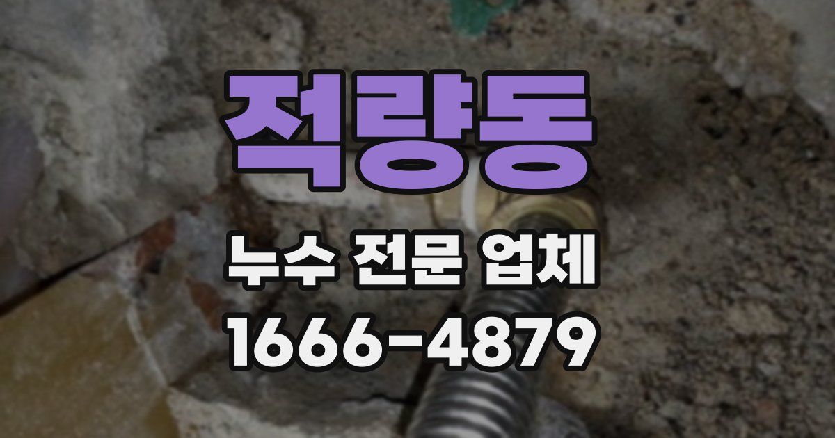 적량동 누수 전문 업체
