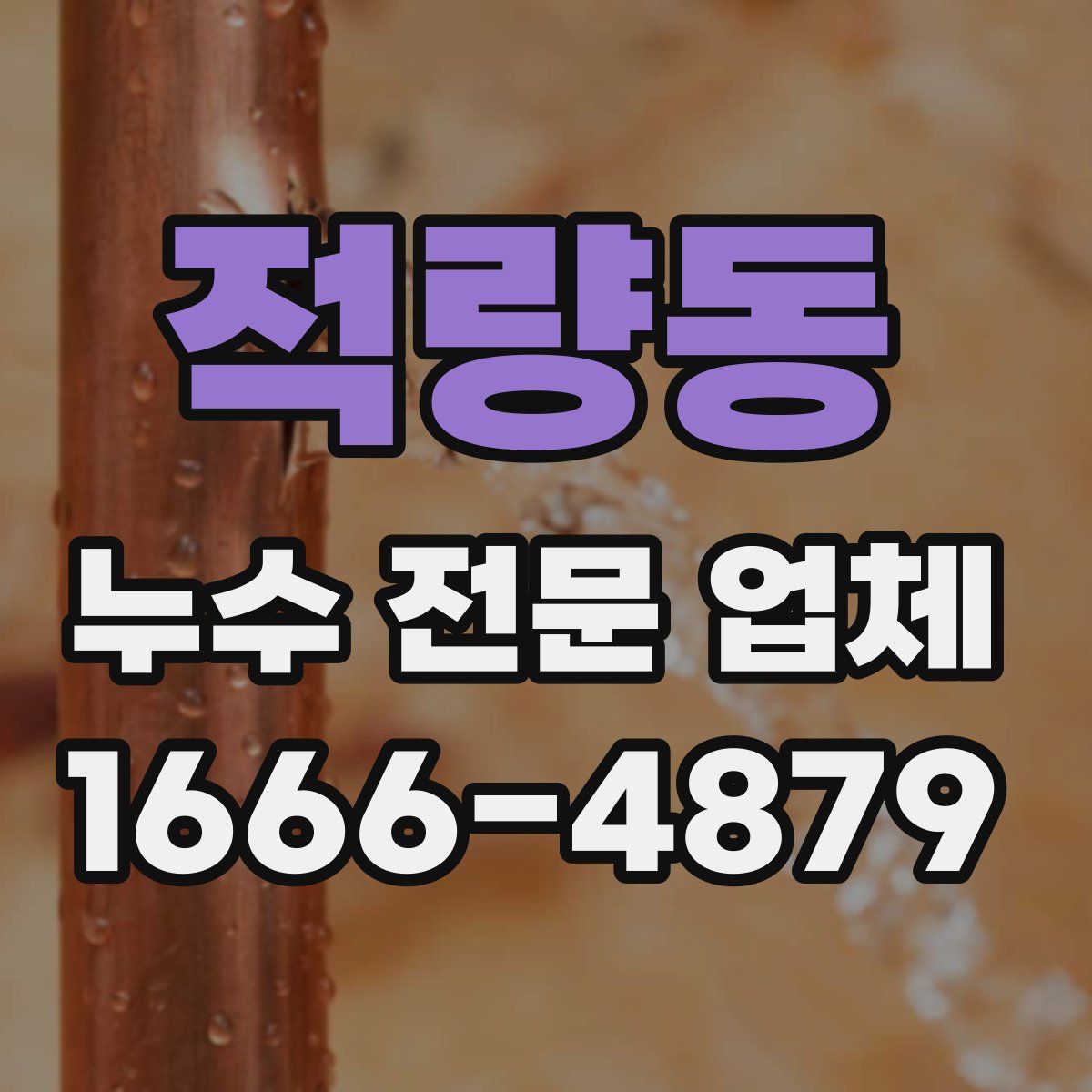적량동 누수 전문 업체