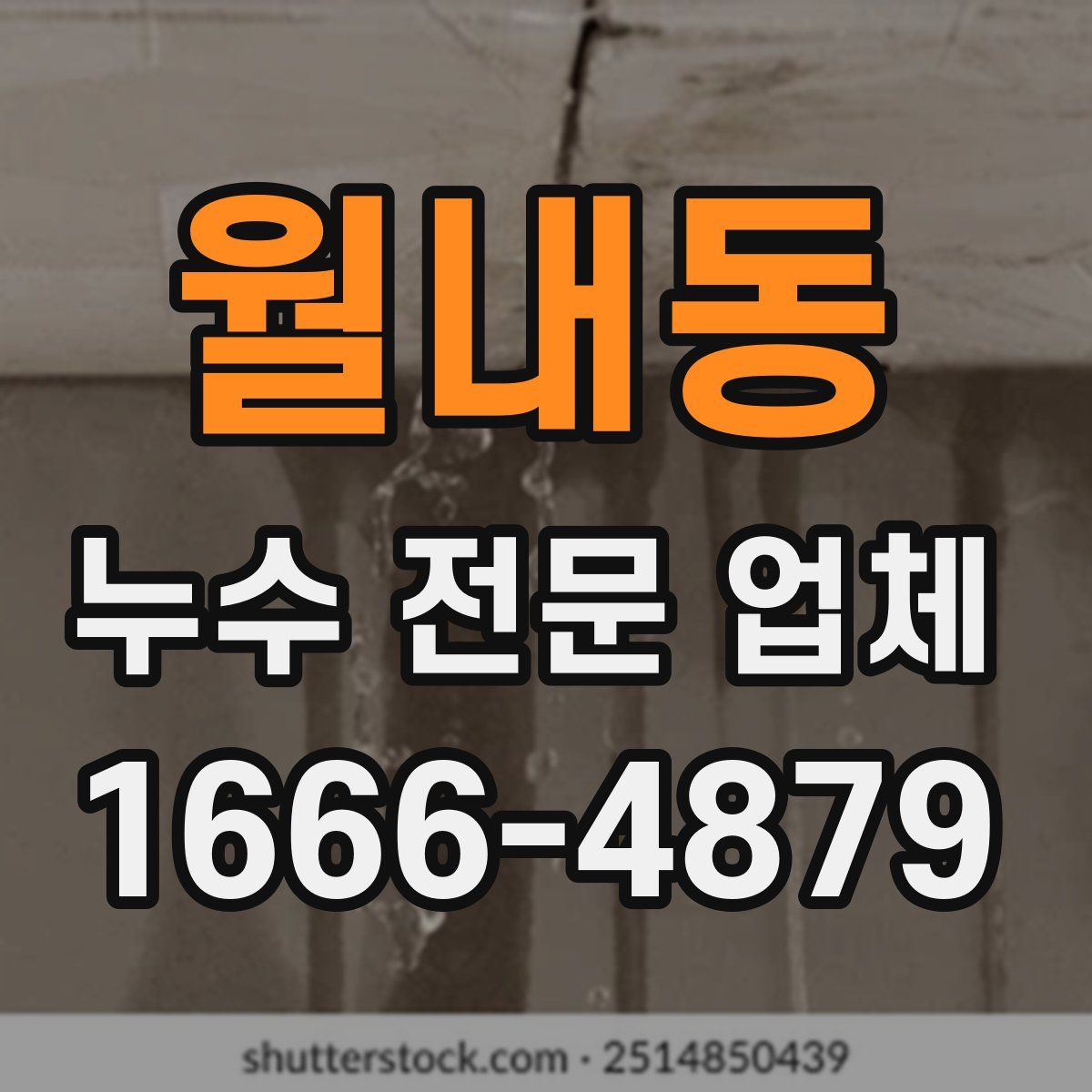 월내동 누수 전문 업체