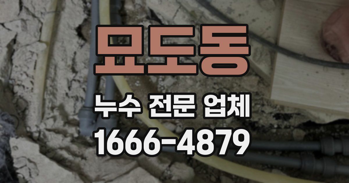 묘도동 누수 전문 업체