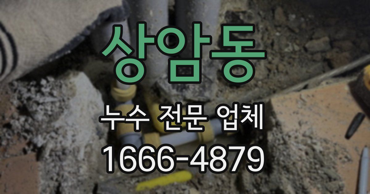 상암동 누수 전문 업체
