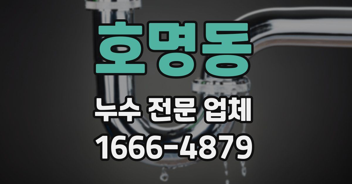 호명동 누수 전문 업체