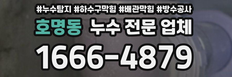 호명동 누수 전문 업체
