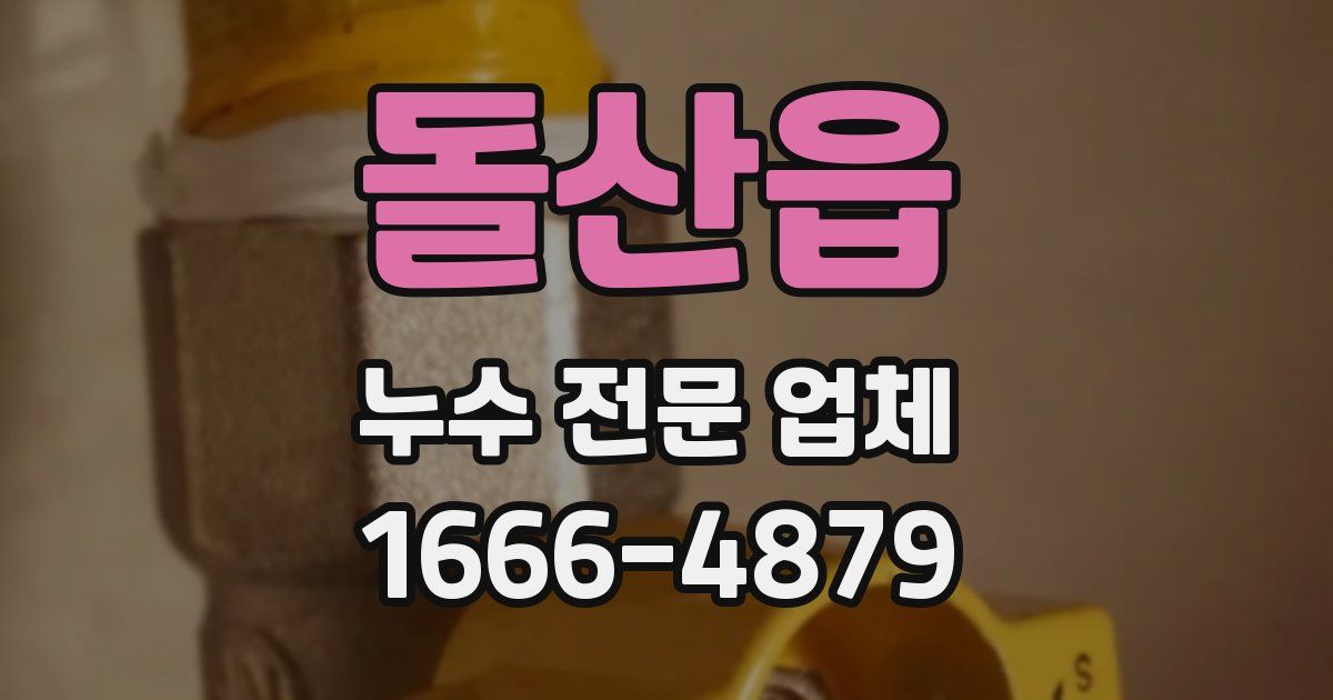 돌산읍 누수 전문 업체