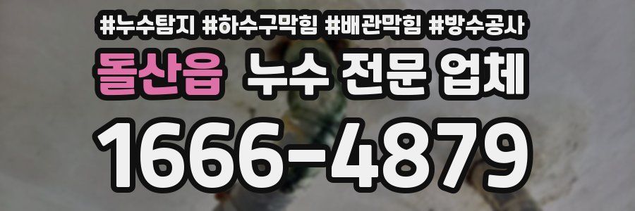 돌산읍 누수 전문 업체