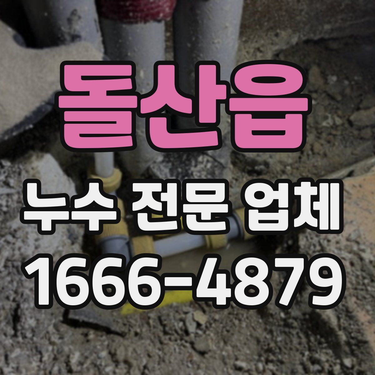 돌산읍 누수 전문 업체
