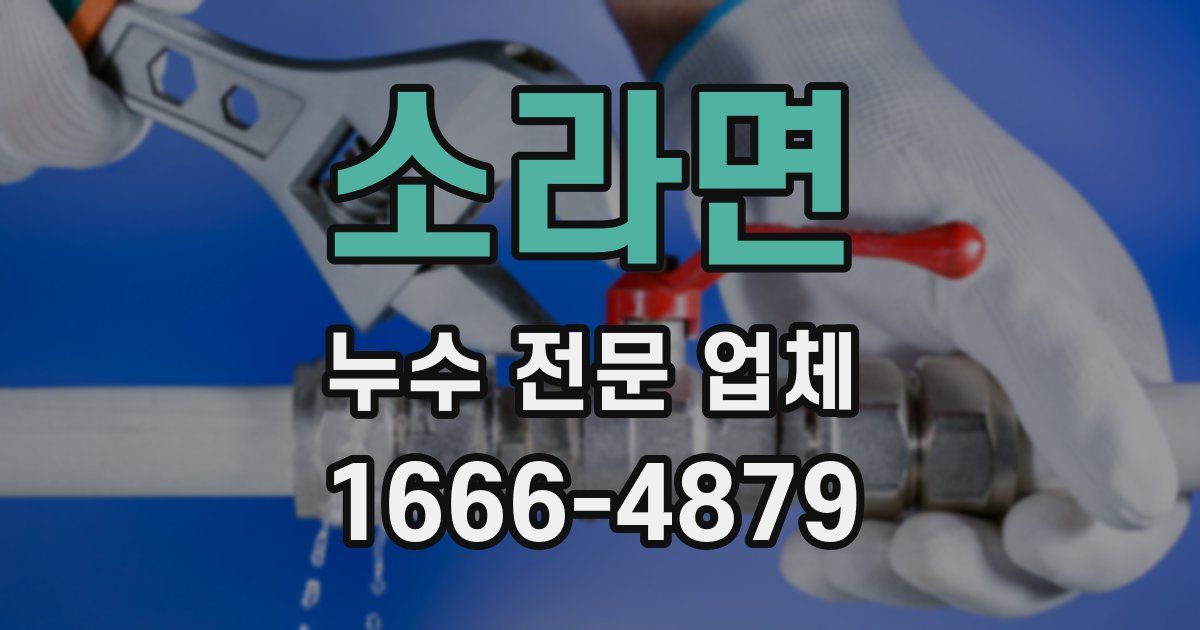 소라면 누수 전문 업체