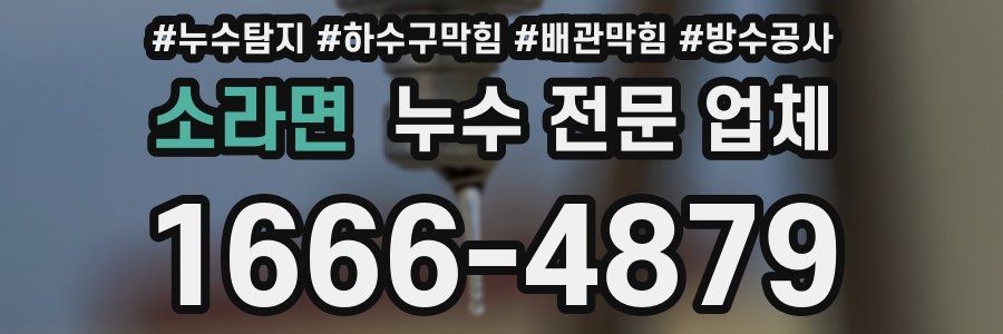 소라면 누수 전문 업체
