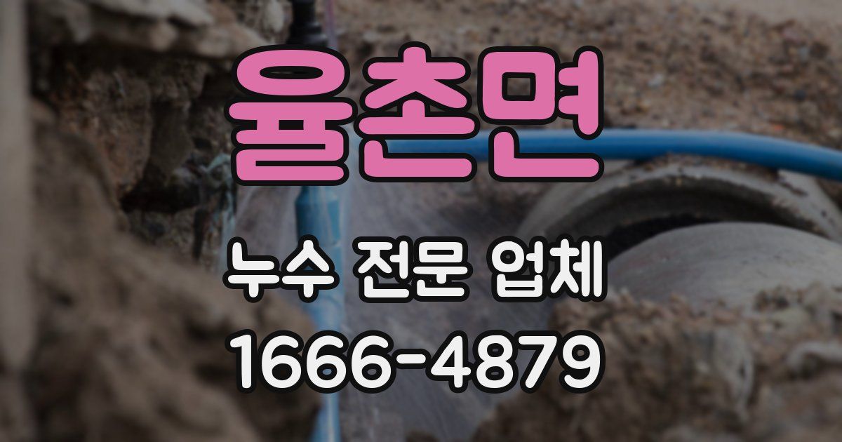 율촌면 누수 전문 업체