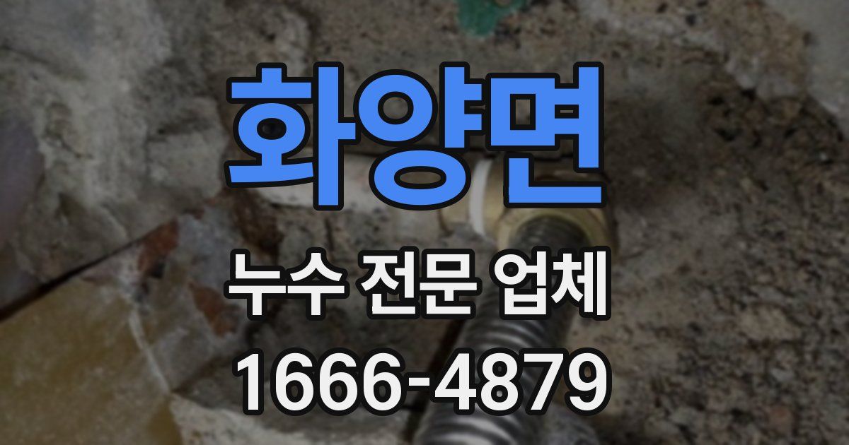 화양면 누수 전문 업체