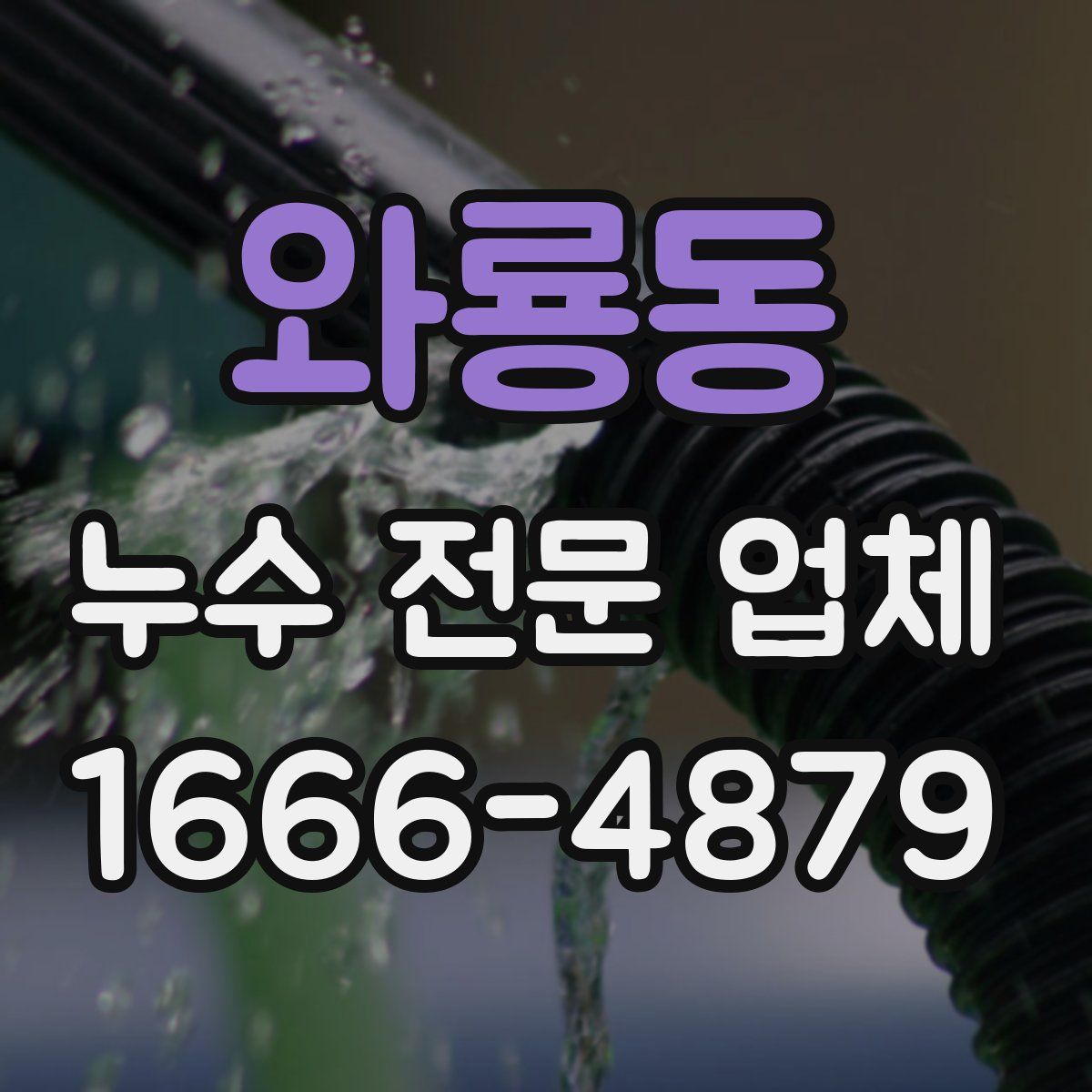 와룡동 누수 전문 업체