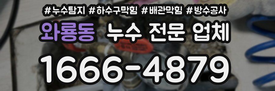 와룡동 누수 전문 업체