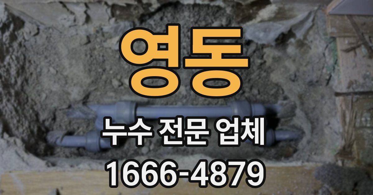 영동 누수 전문 업체