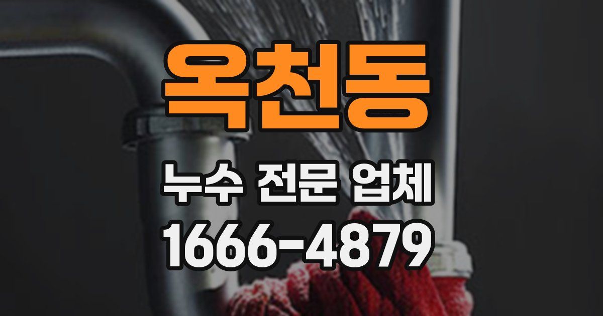 옥천동 누수 전문 업체