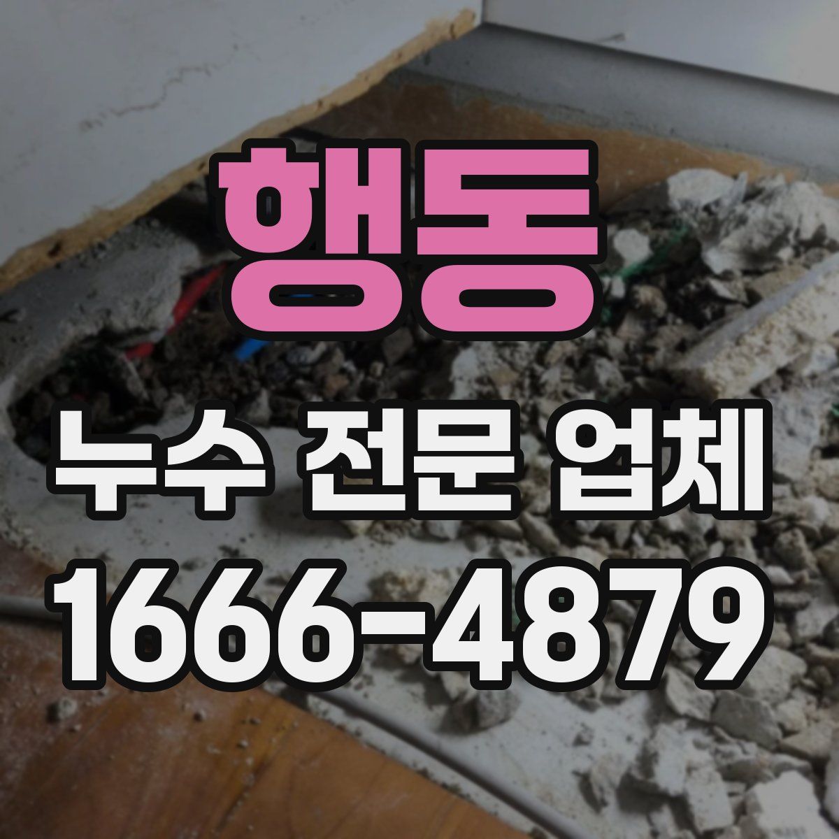 행동 누수 전문 업체