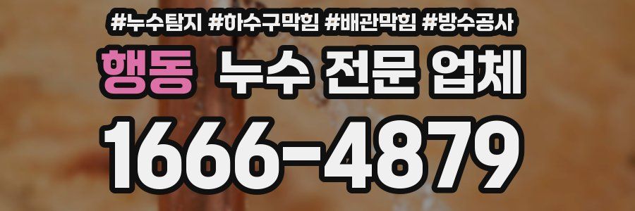행동 누수 전문 업체
