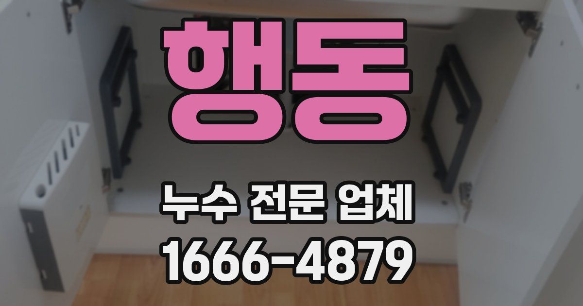 행동 누수 전문 업체