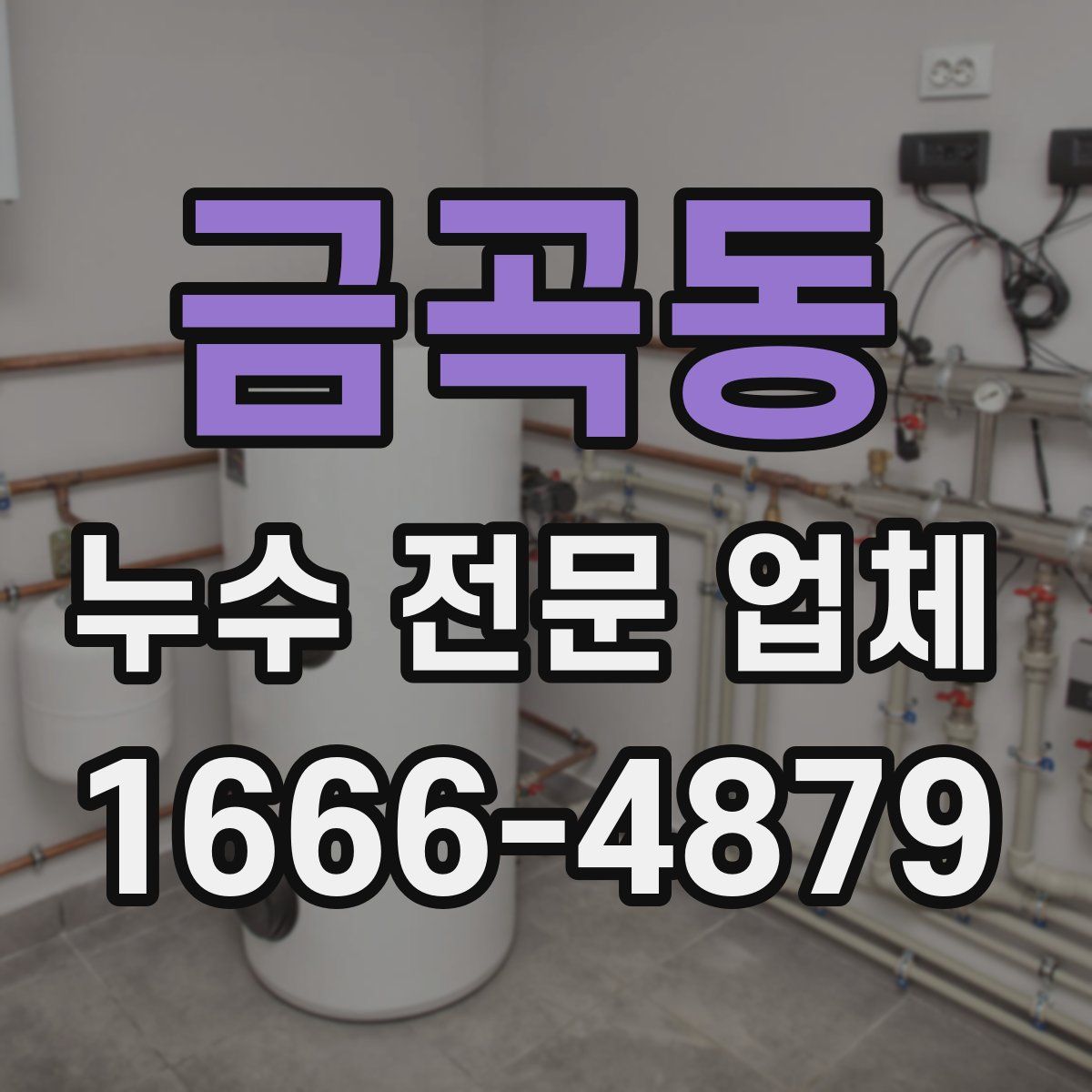 금곡동 누수 전문 업체