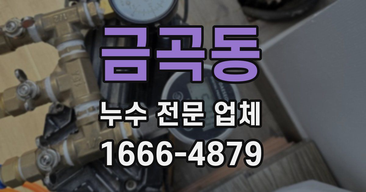 금곡동 누수 전문 업체