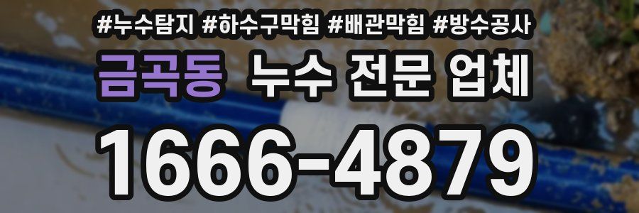 금곡동 누수 전문 업체