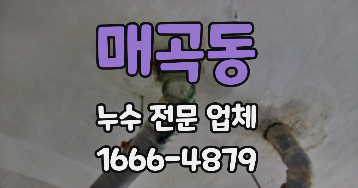 매곡동 누수 전문 업체